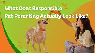 What Does Responsible Pet Parenting Actually Look Like