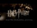 Harry Potter and The Forbidden Journey