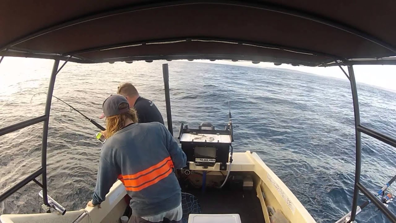 Snapper fishing long reef YouTube