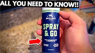 Rocco & Roxie Puppy Potty Training Go Here Spray for Dogs (Full Review)