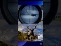 Cazando un rato #thehunter #gameplay #todossomoshunters #gaming #thehuntercallofthewild