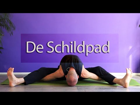 Vinyasa flow yogales voor gevorderden; de Schildpad (Kurmasana)