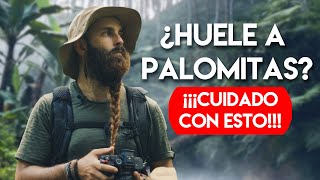 Lo que no te habían contado de estos animales…