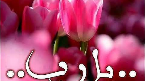 تلاوة هادئة تريح القلب والعقل 💜🎧 سورة النبأ القارئ محمود ناجي💜 |listen to this before you sleep