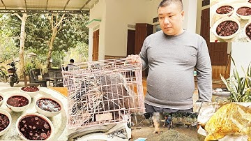 Tiết canh nhím, cùng anh em giao lưu, nhân dịp những ngày cuối năm.