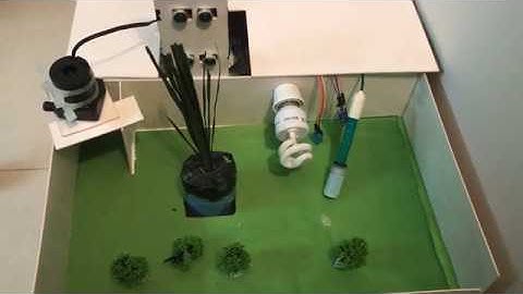 IoT based water and environment management system of paddy rice at their different growth stages