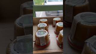 Bolo de pote italiano