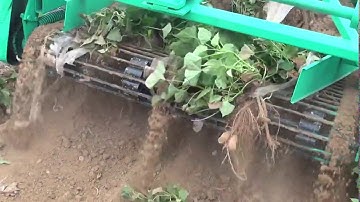 Máy thu hoạch khoai lang khoai tây mới nhất LH 0909069386