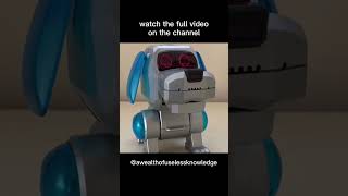 Remember The Poo-Chi Dog Toy?