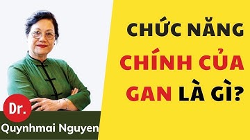 6 Chức Năng Chính Của Gan Là Gì | Dr.Quynhmai Nguyễn