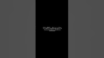 #استغفرالله #اللهم_صل_وسلم_على_نبينا_محمد #سبحان_الله #الحمد لله #القرآن الكريم ♡♡