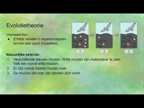 Video: Wie was verantwoordelijk voor de theorie van sociaal evolutionisme?