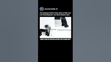 This Elephant Robot Twist, Bend & Walk Just Like Real Elephant. You Won