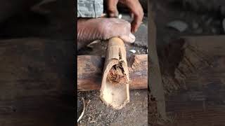 sawing wood on bamboo, the traditional art of starting a fire #firemaking #survivalfire