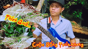Đàn gitar ngẫu hứng ,phụng hoàng gitar điện cùng Em Gái đúc Bánh XÈO thơm phức #trilamnong