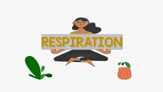 Respiration | Animation