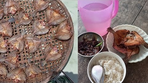 Cách Làm Khô Cá Phi Thơm Ngon Để Được Lâu, Là Món Ăn Rất Hao Cơm// @SongNuocCaMau