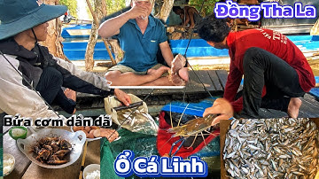 Độc đáo đồng Tha La - Ổ Cá tràn qua vùng biên theo con nước An Giang