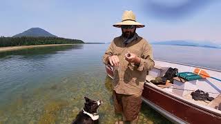 Southern Alaska Sea Run Dolly Varden Fishing