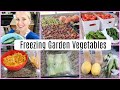 HOW TO FREEZE FRESH GARDEN VEGETABLES FOR THE WINTER