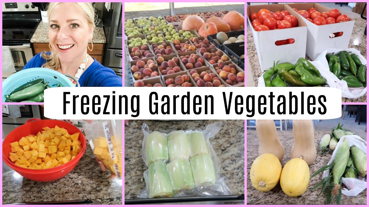 How To Freeze Fresh Garden Vegetables