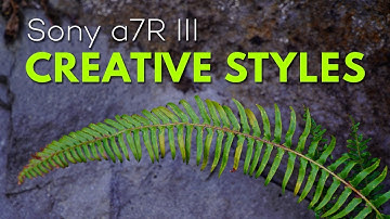 Creative Styles: A Super Underrated Feature Of Your Digital Camera