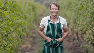 Lightroom and Camera RAW profiles | photoLUT L series