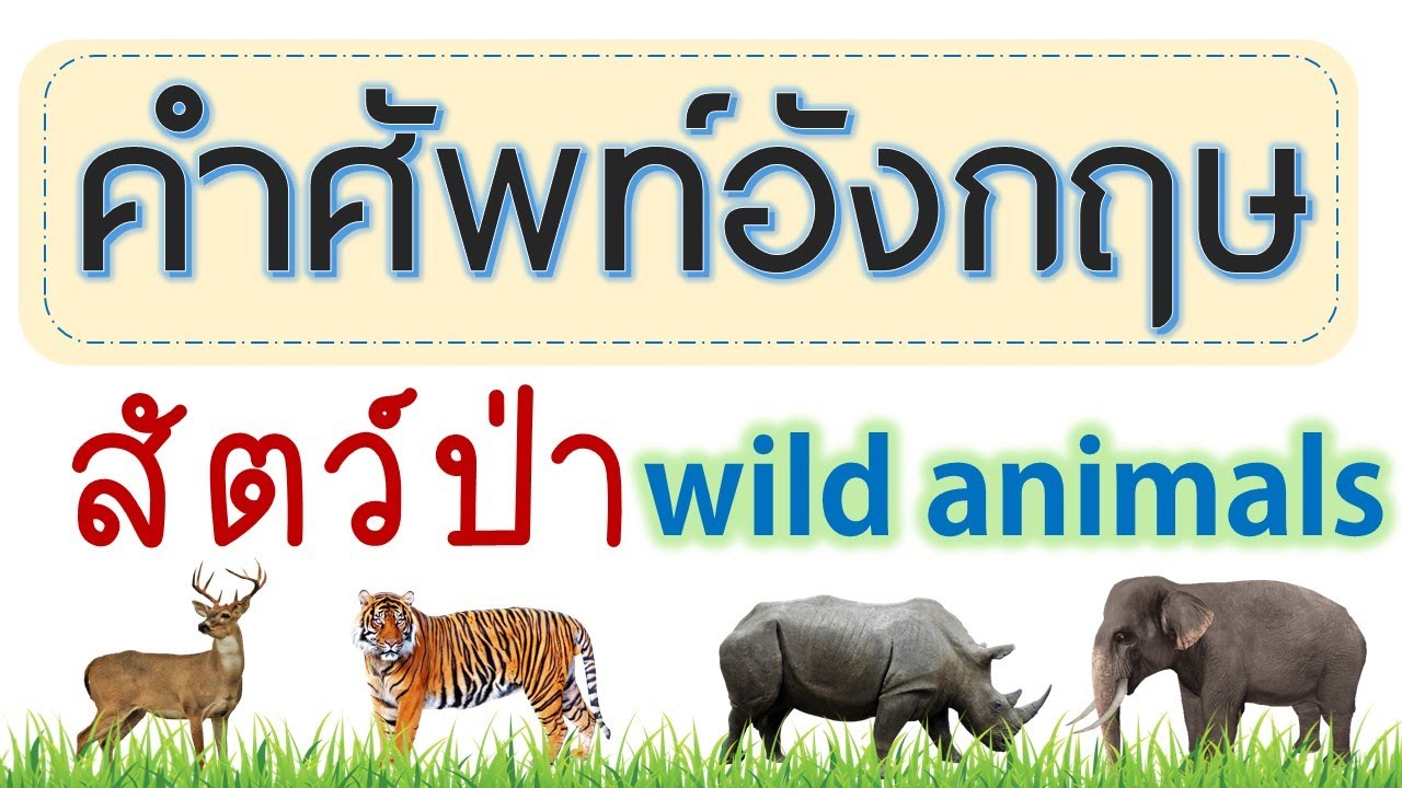 ถางป่า ภาษาอังกฤษ  New Update  คำศัพท์อังกฤษ สัตว์ป่า Wild animals