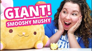 A Giant Smooshy Mushy Smooshy Mushy Haul