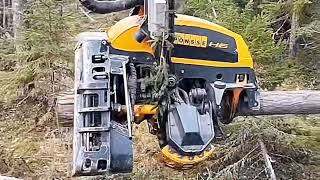 Logging and transporting work is simple thanks to modern machinery
