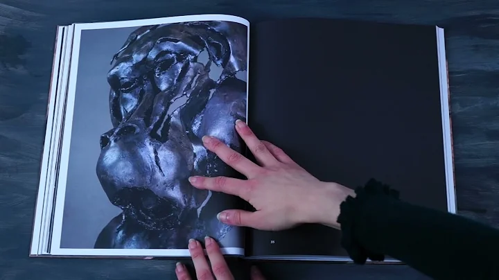 Look Inside Dana Meyer Skulpturen Book