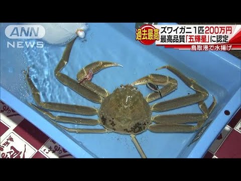 額　カニ hqdefault.jpg