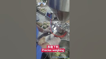 Bespacker G1WTD-300  Meat sauce filling machine SQ13688-182