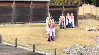 在日本奈良宫迹庭园偶遇的表演