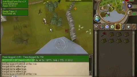 *NEW* RuneScape BOT 100% Undetectable! [5th FEB 2010] DOWNLOAD LINK IN DESCRIPTION