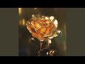 Gold rose