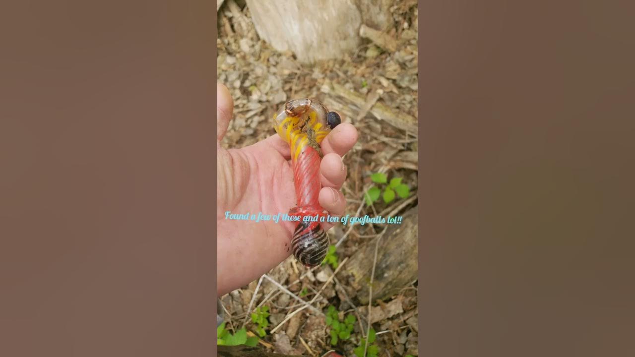 2019 Nebraska Morel Mushroom Hunting Update 4/27 5/2 YouTube
