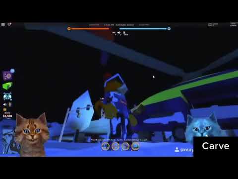 песню кот взорвался. песню кот взорвался. самый жирный кот. песню кот взорвался. котенок взрывается мем.