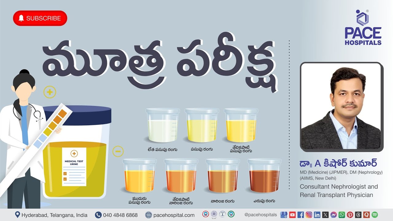 Complete Urine Test in Telugu | CUE - పద్ధతి, పారామితులు, సాధారణ పరిధి, సూచన & ప్రయోజనాలు