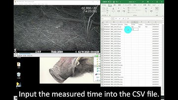 REST_03_MeasureStayingTime