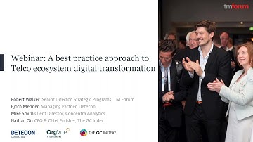 A best practice approach to Telco ecosystem digital transformation