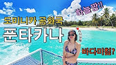 ë„ë¯¸ë‹ˆì¹´ ê³µí™