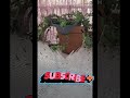 Plants are Sexy #beingcreative