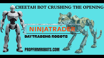AI AUTOMATED DAY TRADING ROBOT NINJATRADER NQ STOCK MARKET  AI CHEETAH ROBOT.CRUSHING THE OPENING.
