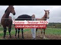 Océane a testé pour vous : Le Casque EQUITHÈME Pepit