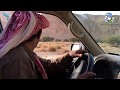 محمية الوعول - الهيئة السعودية للحياة الفطرية Ibex Reserve