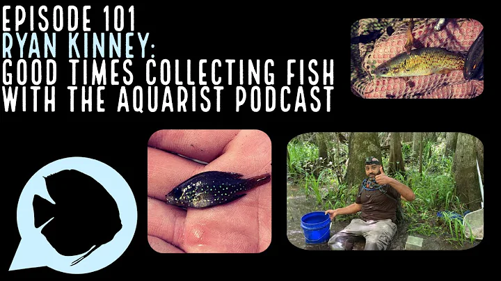 Ep. 101 - Ryan Kinney: Good Times Collecting Fish ...