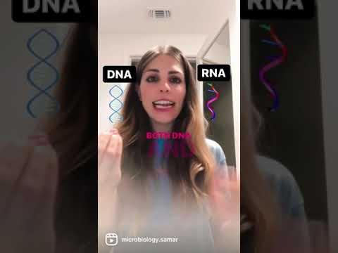 Video: Vai rna atrodas?