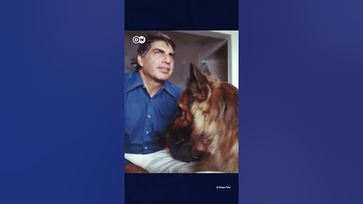 Ratan Tata உயில் Shanthanu அதிர்ச்சி! 10,000 கோடியில் Cook, நாய்க்கு பங்கு - இறந்தும் வாழும் நேயம்