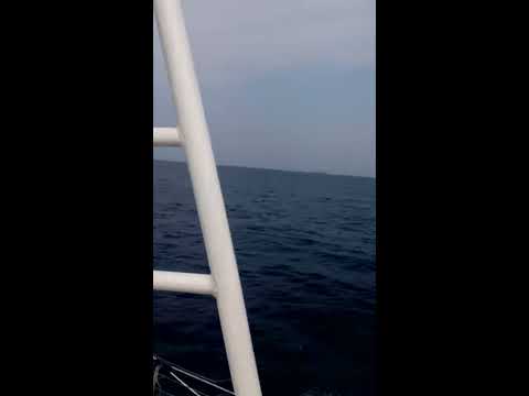 In the Black Sea --  ( შავ ზღვაში )